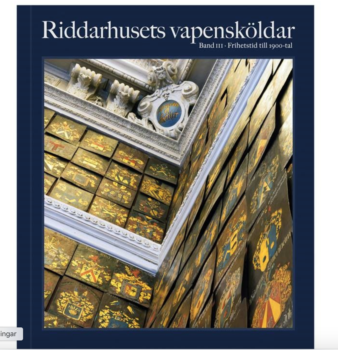 INGEN VANLIG RIDDARE!